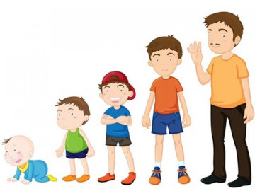 Sự thật về hormone tăng trưởng và cách kích thích cho trẻ thêm cao