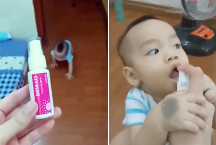 Nào mình cùng bò thật nhanh tới để mẹ xịt Dimao